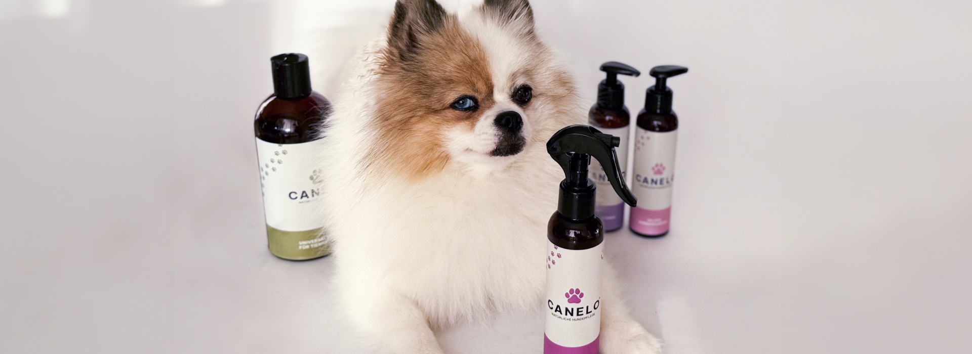 Hund in mitten der CANELO Pflegeprodukte für Hunde