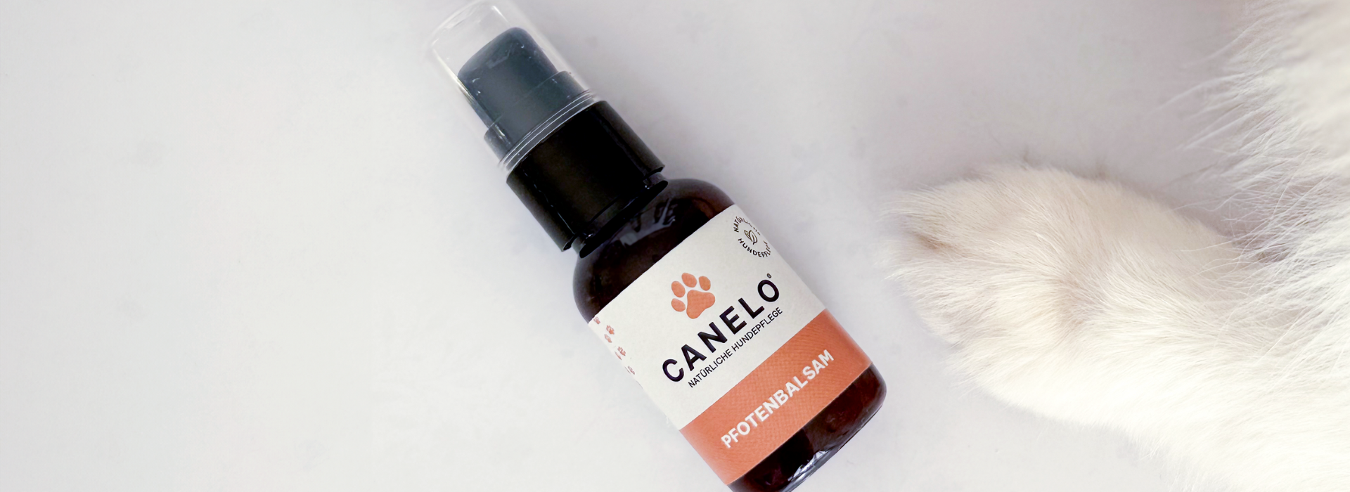 PFOTENPFLEGE & REGENERATION FÜR HUNDE