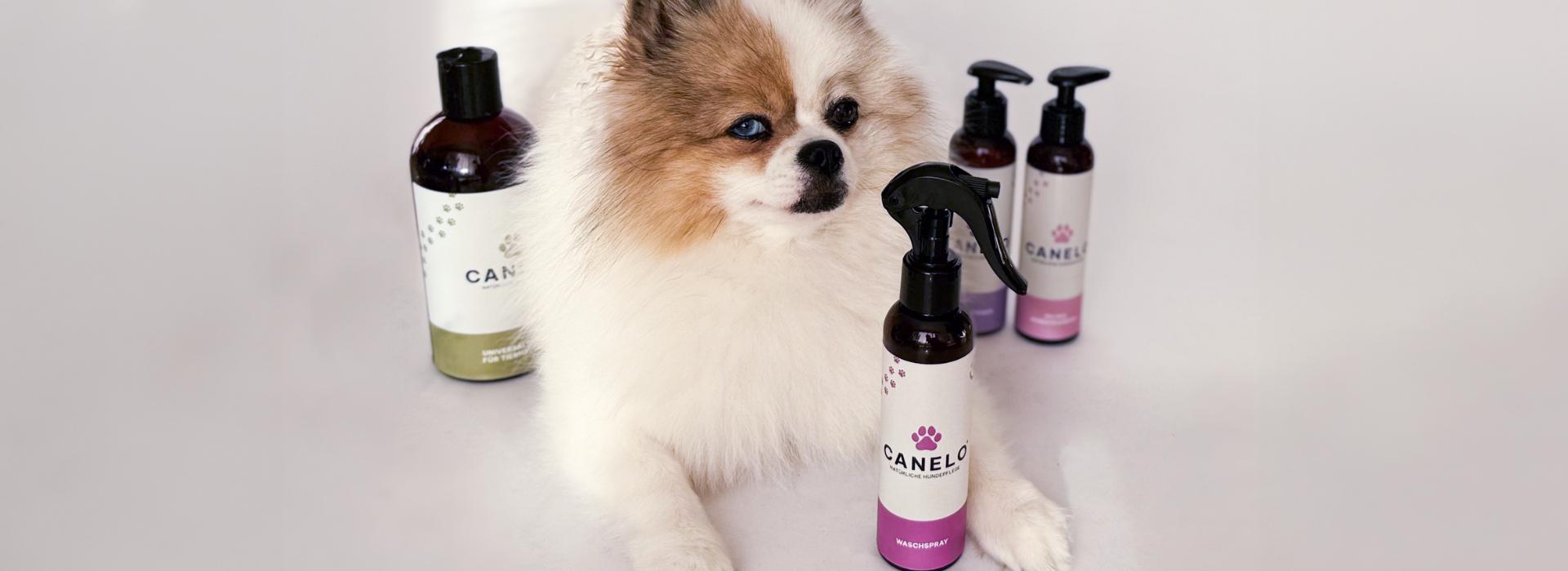HUNDESHAMPOOS & REINIGUNG