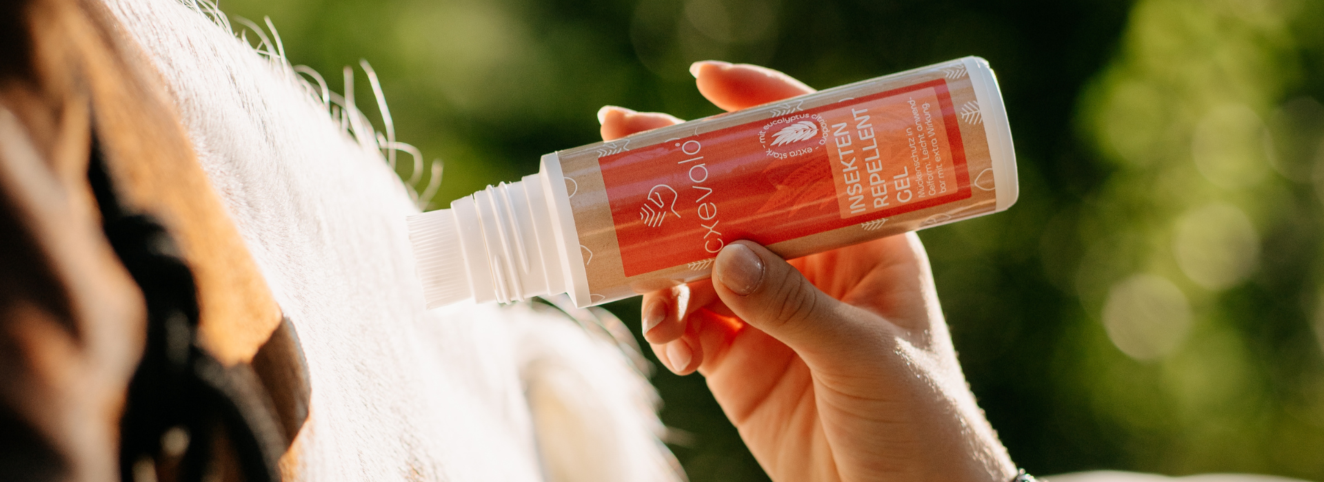 CXEVALO Insekten Repellent Gel wird auf den Hals eines Scheckens aufgetragen
