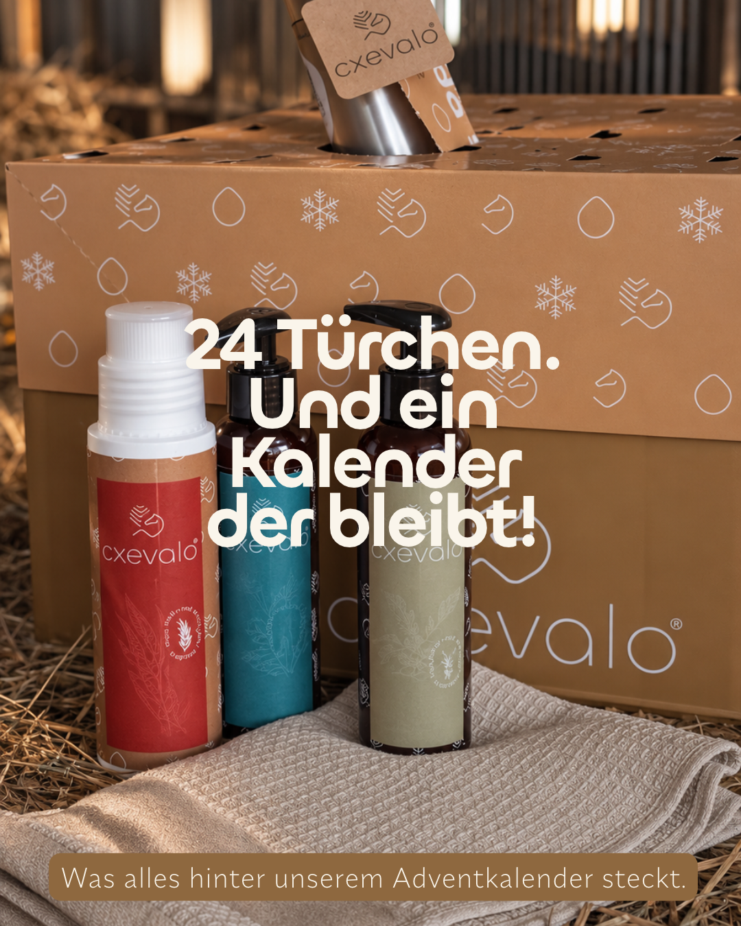 CXEVALO Adventkalender 2026