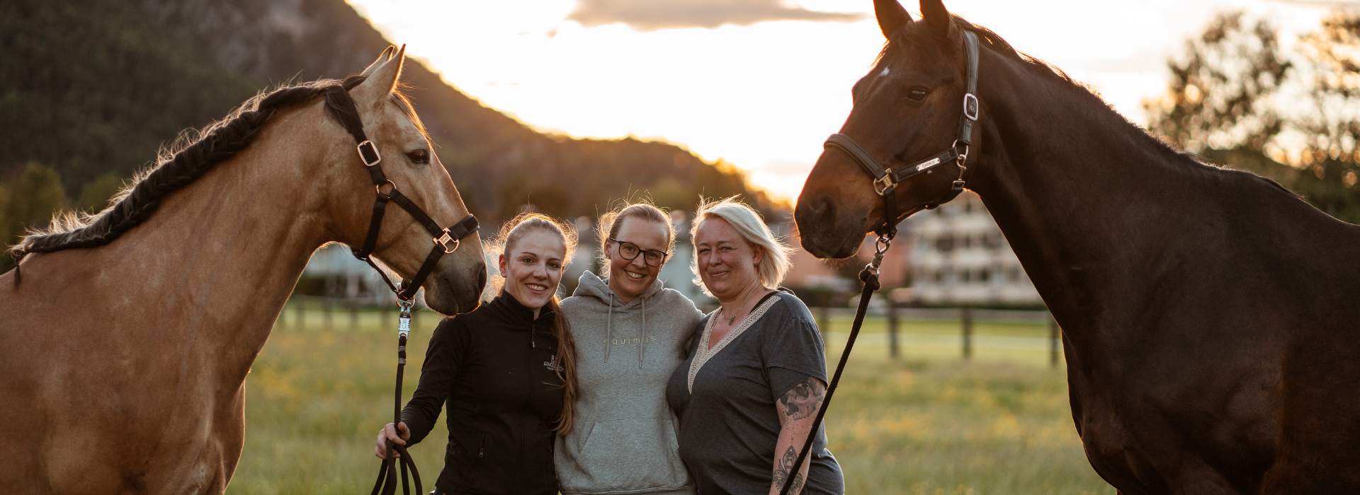Zwei Pferde und drei Damen im Sonnenuntergang