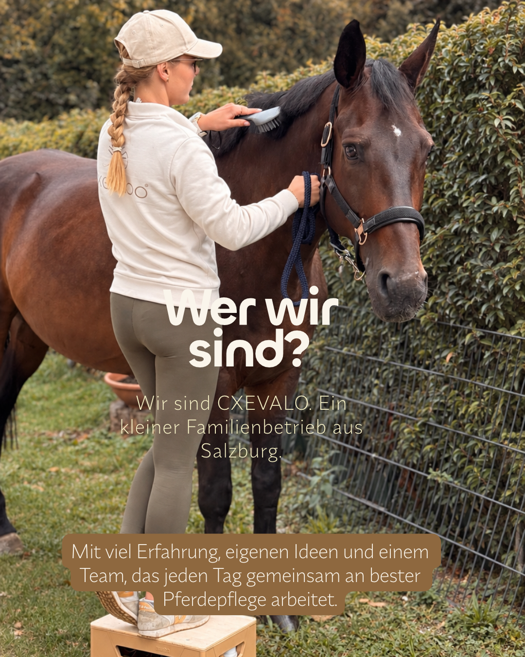 CXEVALO Adventkalender 2026