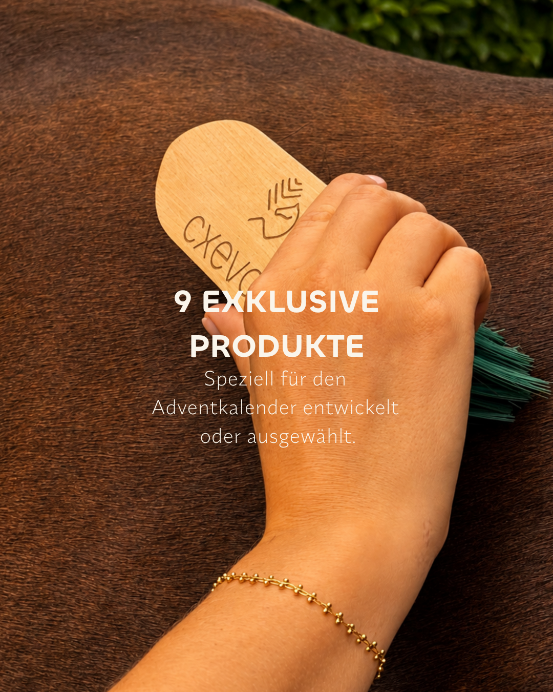 CXEVALO Adventkalender 2026