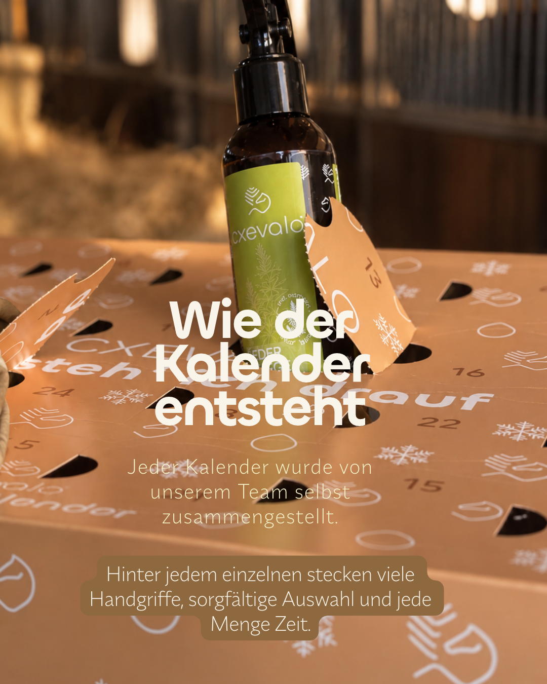 CXEVALO Adventkalender 2026