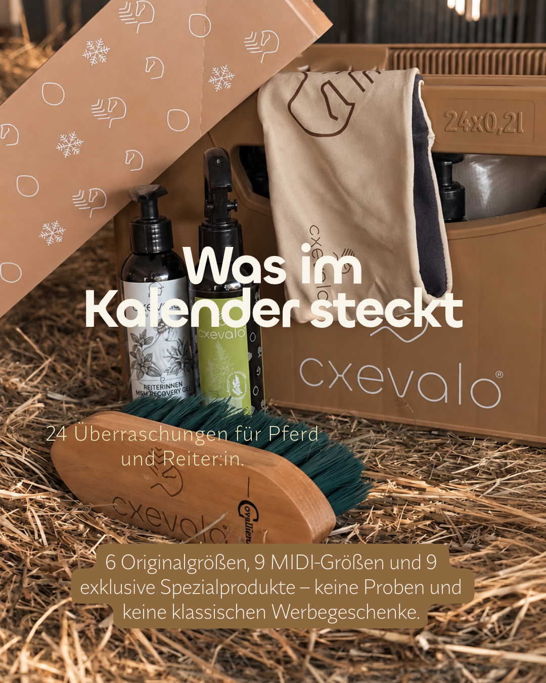 CXEVALO Adventkalender 2026